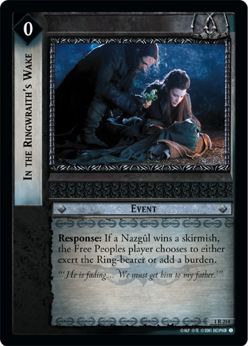 In the Ringwraith's Wake (1R214)