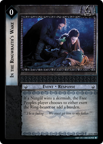 In the Ringwraith's Wake (12U165)